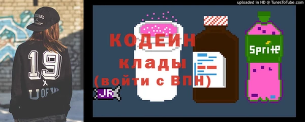 спиды Бикин