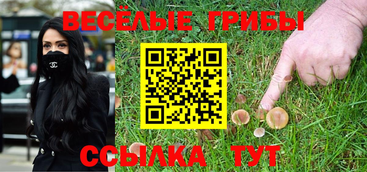 Галлюциногенные грибы ЛСД  Вход с VPN  Крымск 